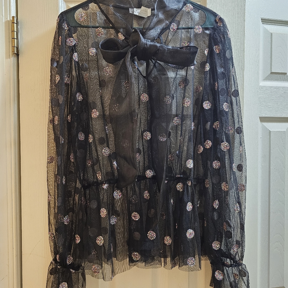 Sheer shirt